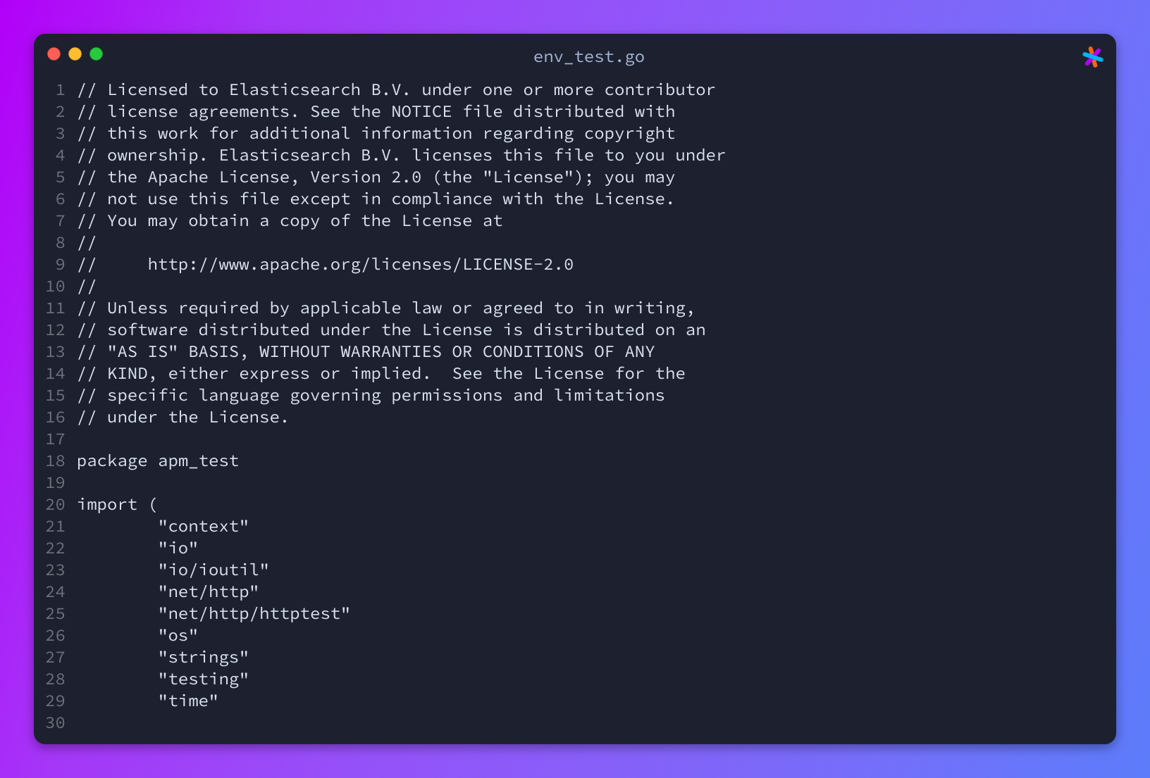 env test.go elastic apm agent go Sourcegraph